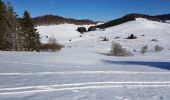 Tour Schneeschuhwandern La Pesse - L'embossieux-la Pourvoirie - Photo 1