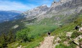 Trail Walking Passy - SIXT PASSY RESERVE: LAC DE PORMENAZ - Photo 9