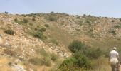 Trail On foot Mate Yehuda Regional Council - Meara stream - Photo 1