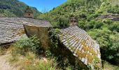 Tour Wandern Gorges du Tarn Causses - Saint Chely 17 km - Photo 10