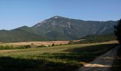 Trail Walking Marignac-en-Diois - Marignac - But de l'Aiglette - Col de Vassieux - Photo 17