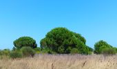 Trail Walking Saint-Cyprien - st cyprien de merde - Photo 11