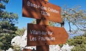 Trail Walking Toudon - FFR - la Cime des Colettes  - Photo 10
