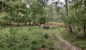 Excursión Senderismo Saint-Mard - rando autour de Dammartin Juilly  - Photo 1