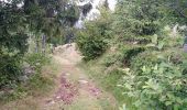 Tour Wandern Urbeis - Les deux lacs - Photo 19