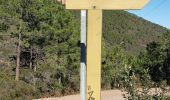 Excursión Senderismo Théoule-sur-Mer - Théoule, le rocher des Monges, N.D d'Afrique - Photo 15