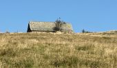 Randonnée  Nasbinals - Le Puits En Velay, dernier jour, saint Chély d’Aubrac, doux braque - Photo 4