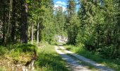 Trail Walking Bellefontaine - Dans la forêt du Risoux - Photo 4