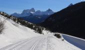 Trail On foot Cortina d'Ampezzo - IT-208 - Photo 4