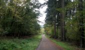 Trail Walking Scherwiller - Scherwiller - Chateaux Ramstein-Ortenbourg-Berstein 2022-10 - Photo 3