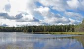 Randonnée A pied Saarijärvi - Tulijärven polku - Photo 10