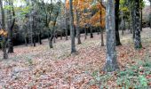 Trail Walking Les Mayons - FFRandonnée-Sur_les_traces_du_decauville - Photo 19