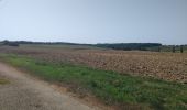 Tocht Stappen Lévignac-de-Guyenne - A travers les champs et vergers au sud de Lévignac De Guyenne - Photo 6