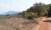 Trail On foot Galil Elyon Regional Council - IL-2060 - Photo 7