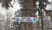 Trail Walking Lans-en-Vercors - vertige des cimes  - Photo 8