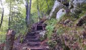 Trail Walking Kranjska Gora - pericnik excursion - Photo 7