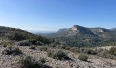 Randonnée Marche Mérindol - PF-Mérindol - Dessus de Mérindol par les Chemins de l'Apied et des Bouigues - Vallon des Porcs - CP - Photo 8