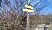 Randonnée Marche Aureille - les Alpilles d aureille - Photo 1