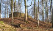 Trail On foot Rotenburg an der Fulda - Heienbach-Tour - Photo 10