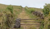 Tocht Te voet Ribeira Seca - Serra do Topo - Fajã dos Vimes - Photo 4