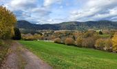 Tocht Stappen Vieux-Moulin - Vieux-Moulin 