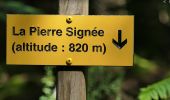 Trail Walking Saint-Ours - SityTrail - VUL - Photo 2