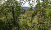 Trail Walking Boussières - Boussières crête  - Photo 4