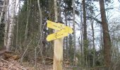 Trail Walking Roncherolles-sur-le-Vivier - 20230328-Roncherolles - Photo 12