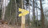 Tour Wandern Roncherolles-sur-le-Vivier - 20230328-Roncherolles - Photo 12