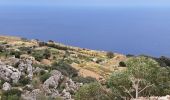 Tocht Stappen Ħad-Dingli - MALTE 2024 / 01 Dingly's Cliffs - Photo 1
