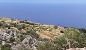 Trail Walking Dingli - MALTE 2024 / 01 Dingly's Cliffs - Photo 1