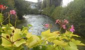 Tour Wandern Pont-Saint-Pierre - 20231024-Pont-St-Pierre - Photo 14