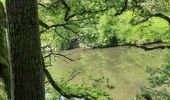 Excursión Senderismo Houffalize - lac de Nisramont  - Photo 19