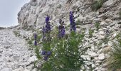 Percorso A piedi Ferrara di Monte Baldo - Sentiero Agostino Goiran - Photo 4