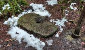 Trail Walking Trois-Ponts - wanne 280122 - Photo 4
