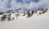 Tocht Sneeuwschoenen Entraunes - ancien col de la Cayolle - Photo 5