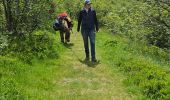Tocht Stappen Xonrupt-Longemer - 2024 RA Vosges J1 Rando âne sur les crêtes - Photo 8