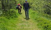 Tour Wandern Xonrupt-Longemer - 2024 RA Vosges J1 Rando âne sur les crêtes - Photo 8