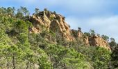 Excursión Senderismo Théoule-sur-Mer - Theoule - Photo 10