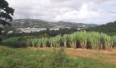 Tocht Stappen Le Robert - Pointe Savane - Plage du Raisiinier - Photo 4