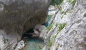 Trail Walking La Palud-sur-Verdon - Verdon Sentier Blanc Martel - Photo 6