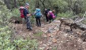 Trail Walking Aups - Aups - ND de Liesse - Photo 13