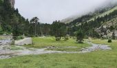 Trail Walking Cauterets - Pont d'Espagne & Lac de Gaube - Photo 6