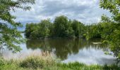 Trail Walking Condé-sur-l'Escaut - Condé sur l’Escaut 15,4 km - Photo 1