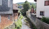 Tour Zu Fuß Schleusegrund - Rundwanderweg Panoramablick - Photo 4