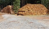 Excursión Senderismo Moutier-Malcard - Moutier,N'oublier,Forêt,Mortroux - Photo 11