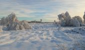 Randonnée Marche Spa - tour de la fagne de Malchamps dans la neige  - Photo 12