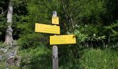 Tour Wandern Pralognan-la-Vanoise - Pralognan - la crête du mont Charvet - Photo 6