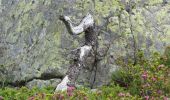 Tour Wandern Vallorcine - Lac de la Rémuaz - Col des Montets - Photo 13