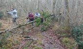 Randonnée Marche Ozenay - col de Beauffer  - Photo 2